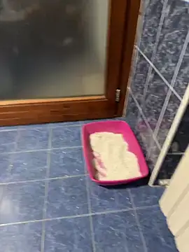 maialexte online show from 04/27/26, 03:59