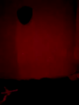 Alexdhujsh online show from 06/30/26, 08:04