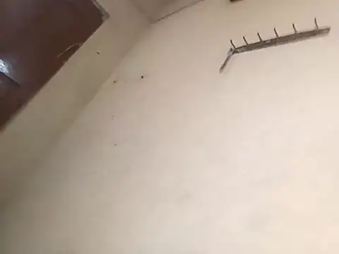 Snapshot of 96Rohon chatting on 10/18/25, 02:58 96Rohon online show from 10/18/25, 02:58