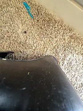 Snapshot of EsDezz88 chatting on 03/22/26, 08:23 EsDezz88 online show from 03/22/26, 08:23