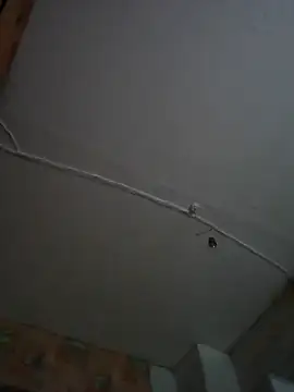 Snapshot of Romashka33011 chatting on 11/06/25, 08:15 Romashka33011 online show from 11/06/25, 08:15