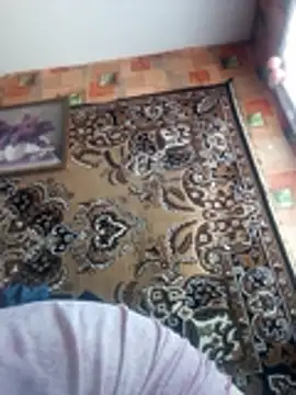 Snapshot of Romashka33011 chatting on 03/02/26, 08:43 Romashka33011 online show from 03/02/26, 08:43