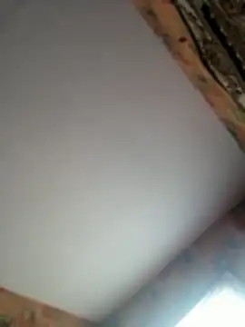 Snapshot of Romashka33011 chatting on 03/27/26, 07:58 Romashka33011 online show from 03/27/26, 07:58