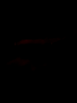 Snapshot of Marco0sss chatting on 02/08/26, 09:02 Marco0sss online show from 02/08/26, 09:02