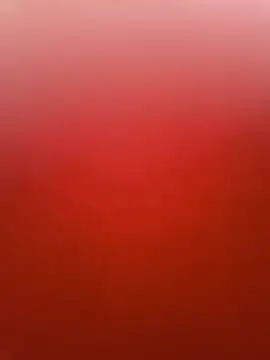  davidino online show from 06/05/26, 12:22