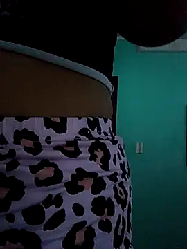 Snapshot of Dalan0213 chatting on 03/12/26, 02:18 Dalan0213 online show from 03/12/26, 02:18