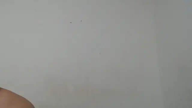 Snapshot of Ana_ThiagoxX chatting on 09/14/25, 02:54 Ana ThiagoxX online show from 09/14/25, 02:54