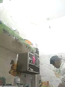 NoxiousFilename online show from 10/12/25, 02:27