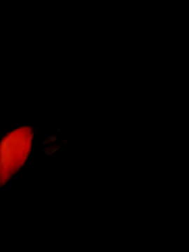 NoxiousFilename online show from 12/22/25, 05:15