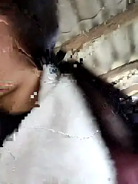 Sinejdk3 online show from 02/16/26, 09:38