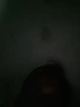 Snapshot of akshant1234 chatting on 10/08/25, 07:22 akshant1234 online show from 10/08/25, 07:22