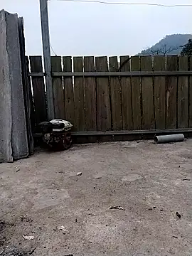 linda bae00 online show from 01/11/26, 12:26