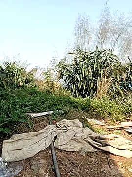 linda bae00 online show from 03/02/26, 07:15