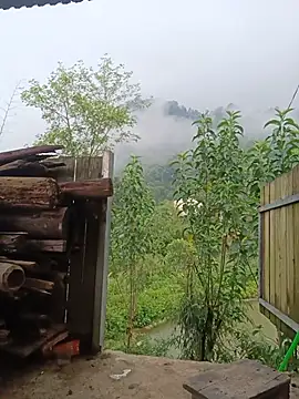 linda bae00 online show from 07/24/26, 11:47