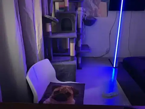 Snapshot of davesinner chatting on 03/02/26, 07:15 davesinner online show from 03/02/26, 07:15