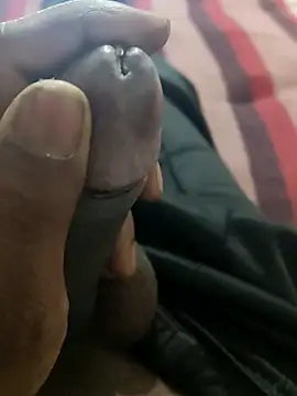 Snapshot of tupha232 chatting on 03/15/26, 08:31 tupha232 online show from 03/15/26, 08:31