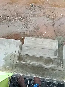 dolphiinn online show from 10/16/25, 02:34