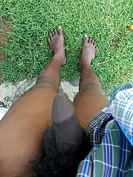 dolphiinn online show from 11/07/25, 02:33