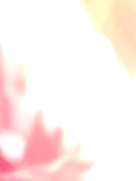 Dikchahot online show from 12/17/25, 05:24