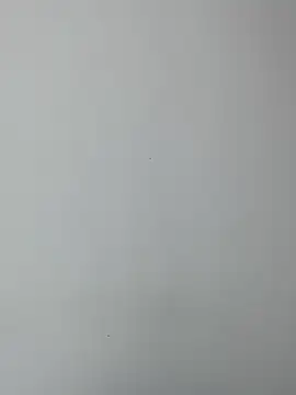 BrendaCrean online show from 02/19/25, 11:49