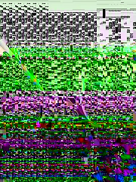 vergeta19 online show from 11/08/25, 04:12