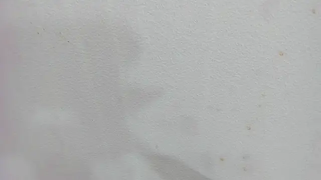 scarlett646 online show from 12/04/25, 03:05