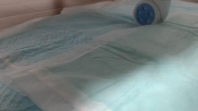 asuka xoxo online show from 10/19/25, 08:31