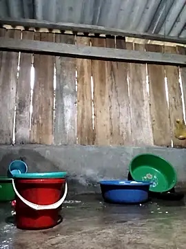 Ngocmi909 online show from 03/11/26, 11:55