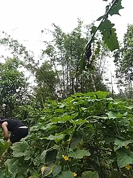 Snapshot of Ngocmi909 chatting on 05/15/26, 03:02 Ngocmi909 online show from 05/15/26, 03:02