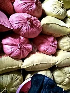 Sa2mh20 online show from 12/17/25, 02:39