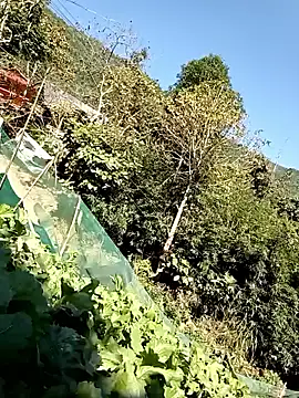 Snapshot of Maymay0033 chatting on 11/29/25, 04:59 Maymay0033 online show from 11/29/25, 04:59