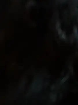 StylishEchium online show from 01/19/26, 12:09