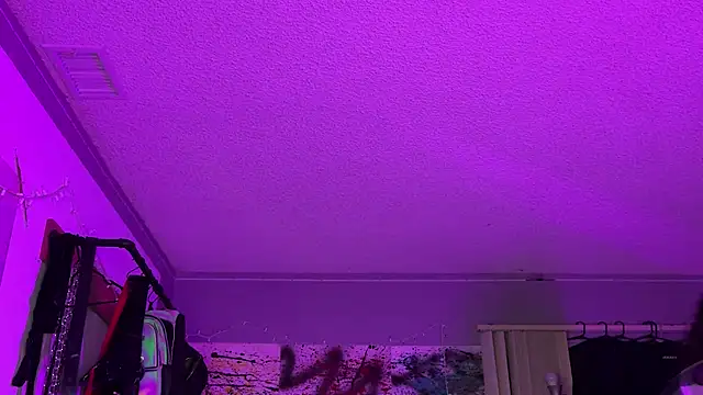 xoFrankie online show from 11/16/25, 05:13