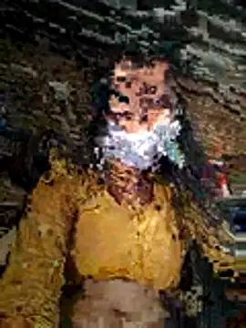 Sapna thakurr online show from 11/17/25, 05:57