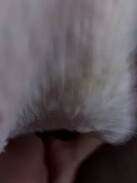 erokami36 online show from 02/05/26, 06:07