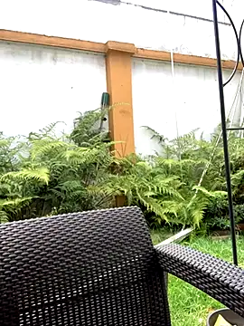 Jasmin Pink online show from 09/25/25, 03:27