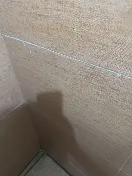 Snapshot of LVarjun chatting on 09/22/25, 06:32 LVarjun online show from 09/22/25, 06:32