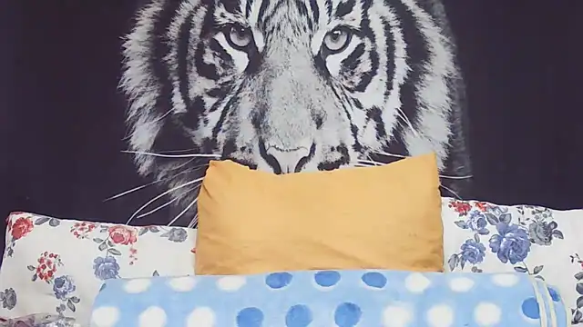 SweetPortableAmber online show from 03/17/26, 11:35