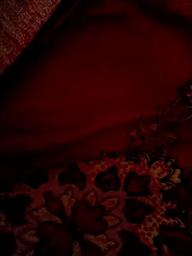 Snapshot of WrinkledTriops chatting on 03/06/26, 12:29 WrinkledTriops online show from 03/06/26, 12:29