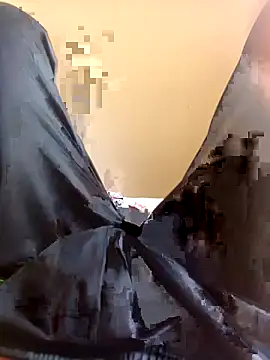 Snapshot of WrinkledTriops chatting on 03/29/26, 09:09 WrinkledTriops online show from 03/29/26, 09:09