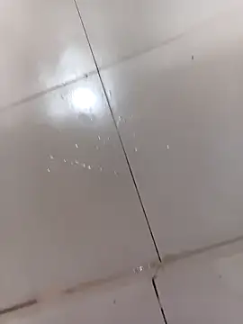 Snapshot of WrinkledTriops chatting on 03/31/26, 04:13 WrinkledTriops online show from 03/31/26, 04:13