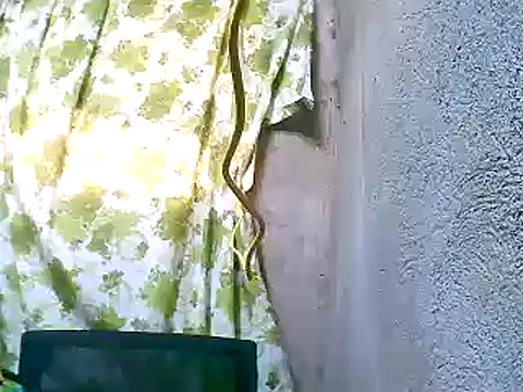 Snapshot of Sweeetgurll chatting on 11/05/25, 01:27 Sweeetgurll online show from 11/05/25, 01:27