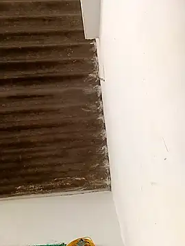 Sapna9685 online show from 11/15/25, 09:06