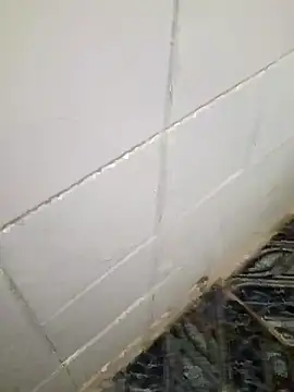 Snapshot of kelvinjesus34 chatting on 10/19/25, 06:36 kelvinjesus34 online show from 10/19/25, 06:36