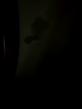 Bruno18cmmmmkk online show from 12/19/25, 03:46