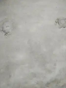 kute-00 online show from 02/08/26, 01:53