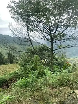 O o UwU o O online show from 11/06/25, 02:01