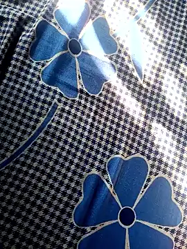 Snapshot of Renuka_GG chatting on 11/04/25, 03:16 Renuka GG online show from 11/04/25, 03:16