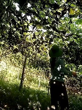 ngan-cute online show from 10/18/25, 01:30