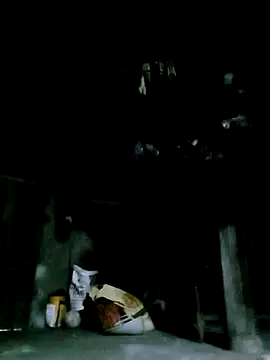 ngan-cute online show from 12/16/25, 10:09